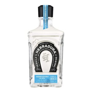 HERRADURA PLATA